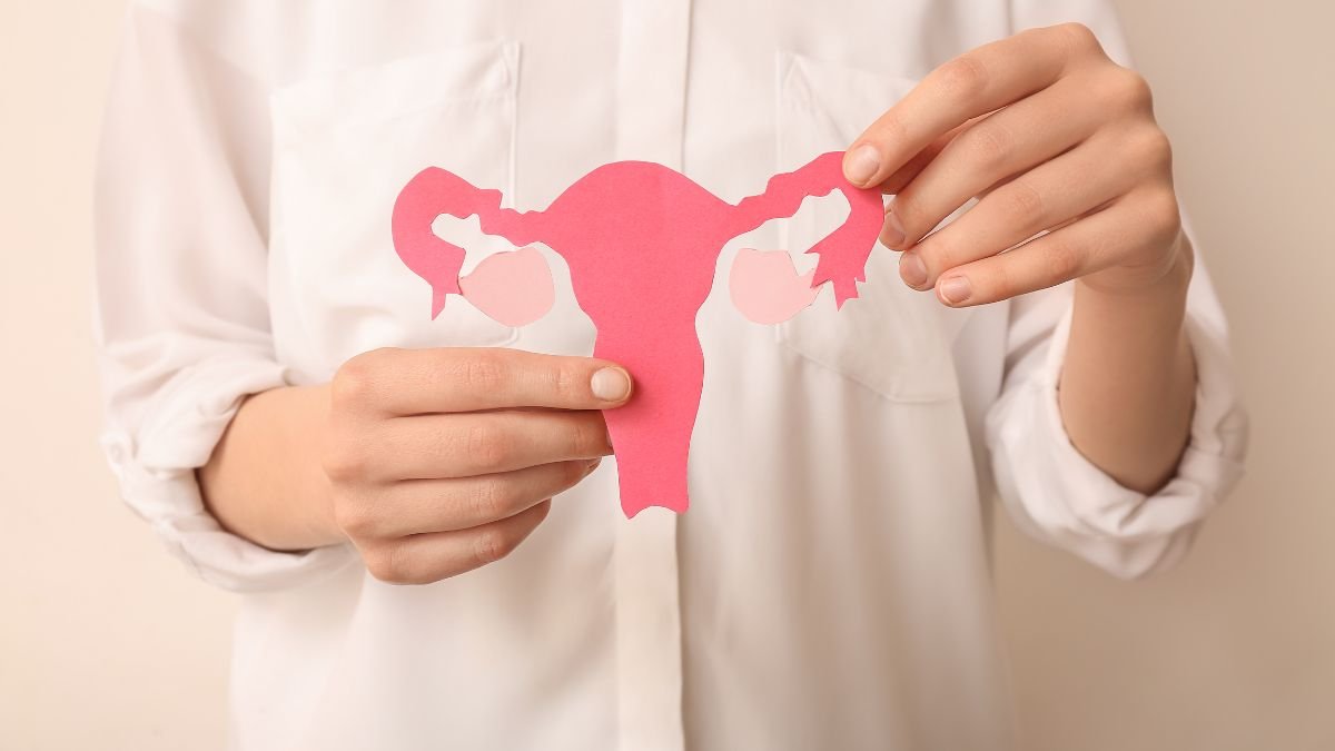 Ciclo Hormonal Feminino e Longevidade: Como Cada Fase do Seu Corpo Pode Ser Uma Aliada na Sua Vitalidade