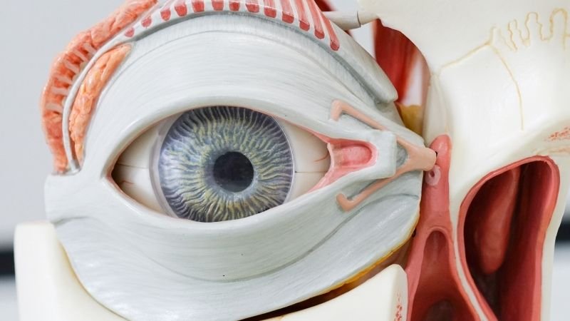 Olho Seco: Quais Colírios Funcionam, Quais Não Resolvem — e Quando Procurar um Médico